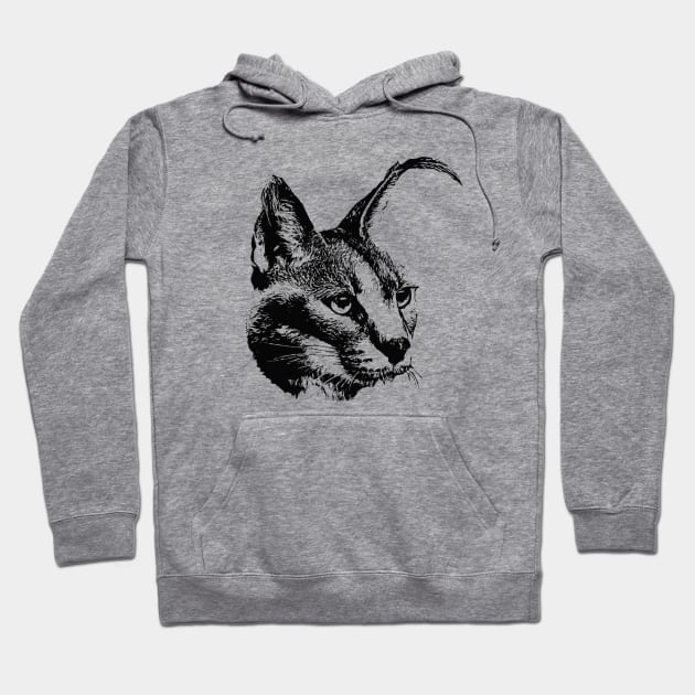 Caracal portrait Hoodie by Guardi